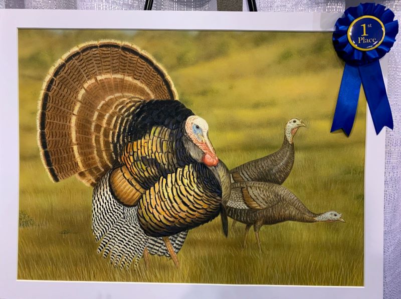 Painting with blue ribbon of three turkeys in yellow grass - click to enlarge in new tab