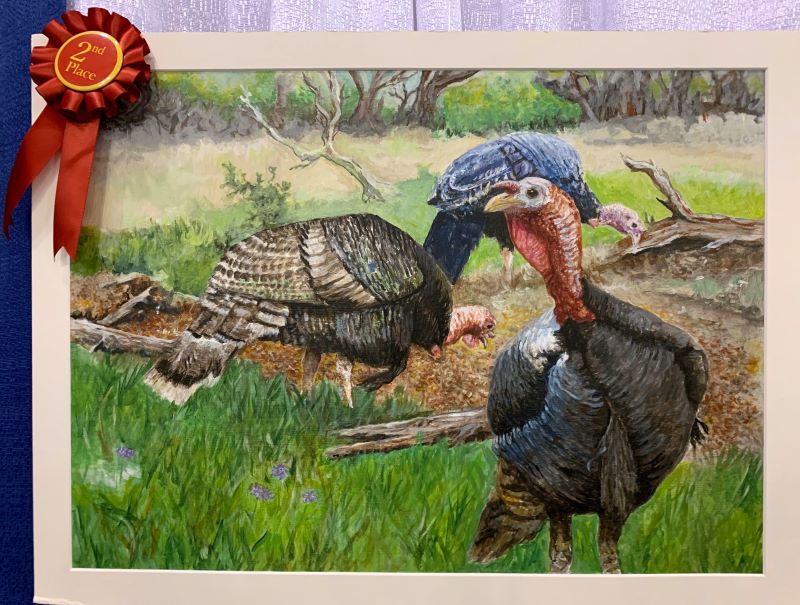 Painting with red ribbon of three turkeys in grass and fallen logs - click to enlarge in new tab