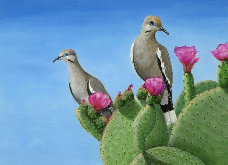 Two doves sitting on cactus with pink flowers