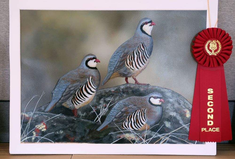 Three small birds standing on a rock, with 2nd place ribbon - link open in new tab or window.
