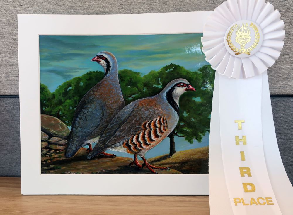 Two birds on grass with trees in background, with 3rd place ribbon - link open in new tab or window.