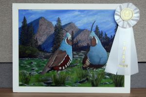 Painting of two mountain quail standing in field, with white third place ribbon