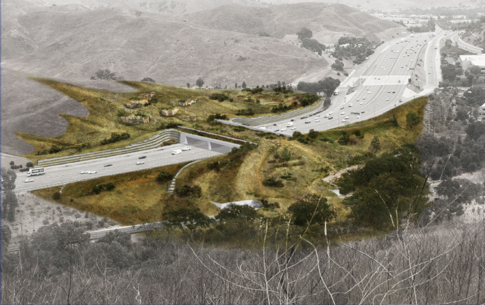 Rendering of grassy overcrossing going over large freeway in mountains