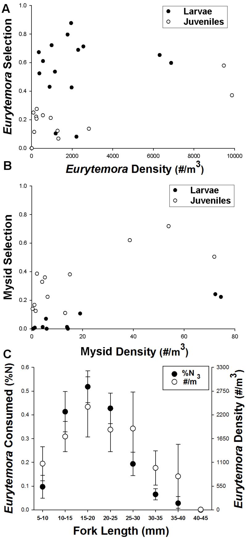 Mean selection indices of larval (black dots) and juvenile (white circles) Longfin Smelt from each region as a function of zooplankton abundance (#/m3) for Eurytemora (A) and Mysids (B). Mean Eurytemora in the diets (%N, black dots) and the environment (#/m3, white dots) by fork length is given in (C). Error bars are standard error.