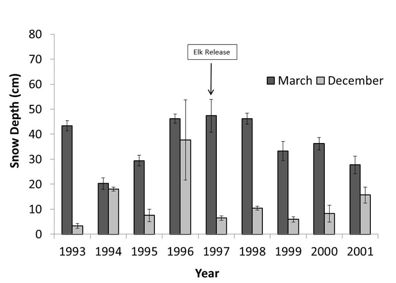 Snow depth is greater in March than December in each year. Snow depth was relatively high when elk were released in March and relatively low the following December.