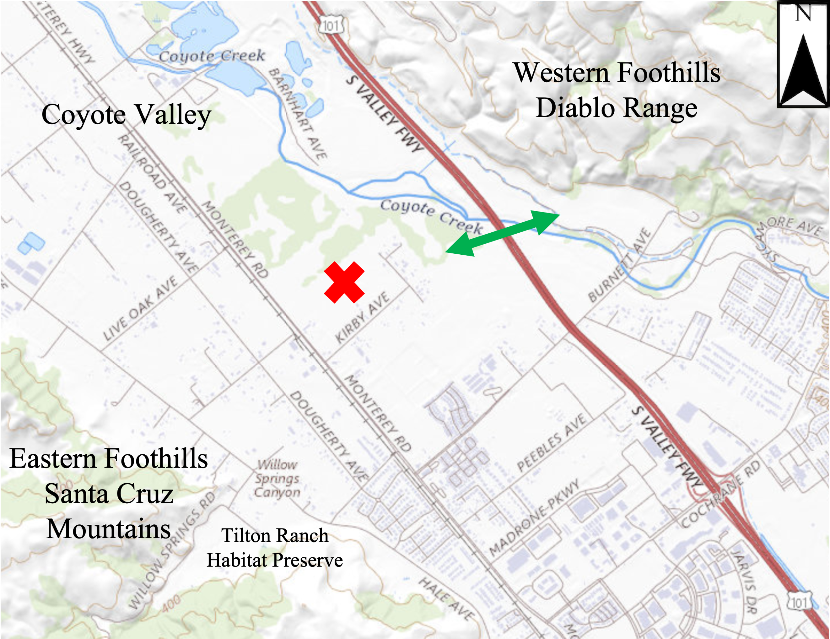 Figure 6. First elk sighting west of U.S. Highway 101 in the study area (marked by red “X”) indicates that elk will use large viaduct undercrossings. Location is 0.5 km west of the large viaduct where Coyote Creek passes beneath the freeway in south Coyote Valley (marked by double-headed green arrow).