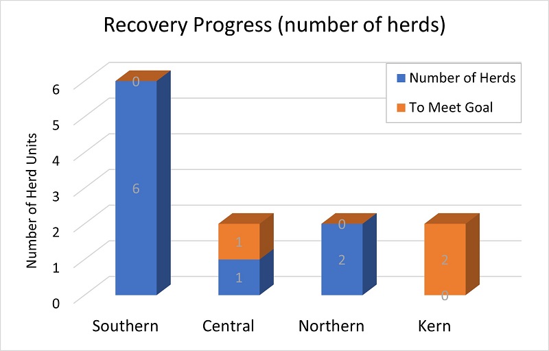 Sierra bighorn recovery progress. All of the required herd units for delisting are occupied for each of the four recovery units.