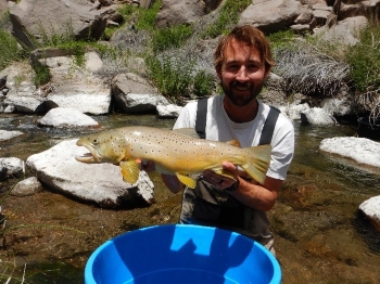 Nick holding a brown trout in a creek
