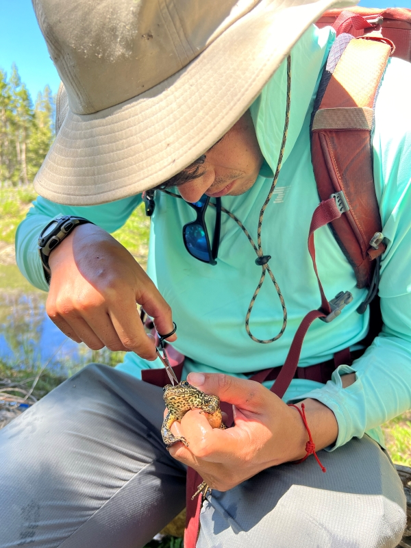 Person handling frog beside a lake in mountains.