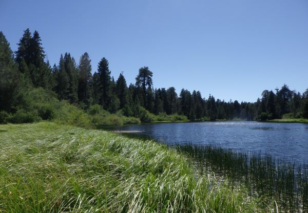 Freshwater wetlands surrounding a mountain lake with blue sky in background