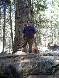 A large man stands in front of a giant redwood tree