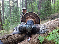 Scientist, Brian Olson with a turkey that he hunted with tall trees