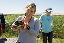 A woman in a marsh holds a turtle