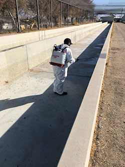 fish technician in personal protection equipment spraying hydrogen peroxide on the cement fish channels at the hatchery