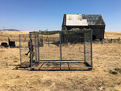 a wire mesh bitd trap, approximately ten-by-seven-by-seven feet, in what looks like a barnyard