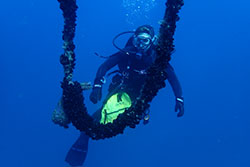 Scientist Julia Coates scuba diving 