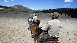 Three men cross a high desert on horseback under a bright blue sky