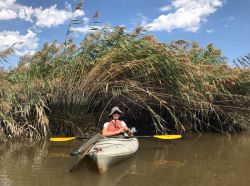Scientist wearing an orange life preserver sitting in a kayak in water surrounded by wetlands