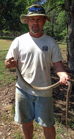A man in T-shirt and cut-offs holding a large gopher snake