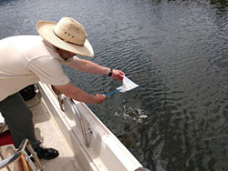 Biologist, Paul Divine releasing a bass fish back in to the lake off the side of a boat