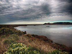 Grass and shrub-covered dunes next to estuary waters, under a cloudy sky