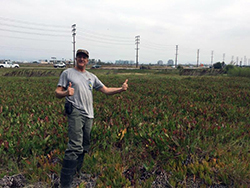 A man stands in a field of low green plants