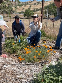 Scientist leading outdoor group training at butterfly symposium in Bay Area
