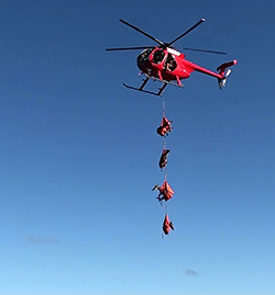 four deer are suspended in the air, in safety harnesses, from a red helicopter