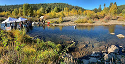 Scientist standing in a shallow river collecting salmon eggs for the hatchery