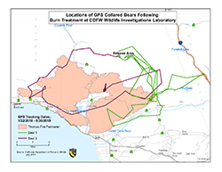 Map of area around Los Padres National Forest, showing where the bear tilapia
