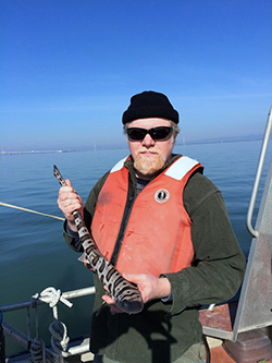 a middle-aged man on a boat holds a small leopard shark