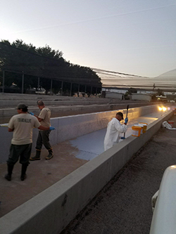 Three men brush a white epoxy on a 600-foot-long by 5-foot wide concrete channel