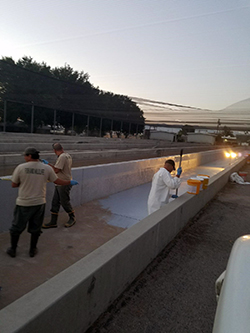 Three men brush a white epoxy on a 600-foot-long by 5-foot wide concrete channel