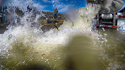 view from river-level of water and fish pouring from a tank truck, through a pipe