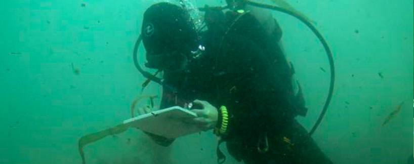 scientist taking data under water