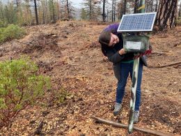 A scientist standing next to an acoustic detector station in the forest used to track bat activity