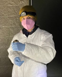 A scientist in protective gear, gloves and a mask holding a bat