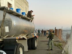 Tanker truck used to transport fish.