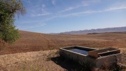 Wildlife water trough with view of Carrizo Plain in background