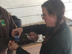 Woman wearing green long sleeved shirt, glasses, and braids holding collar around neck of goose held by person wearing a brown jacket.