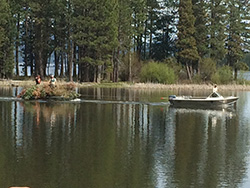 Boat on water body dragging small boat with two men and pile of dead christmas trees. Live tree forest in background.