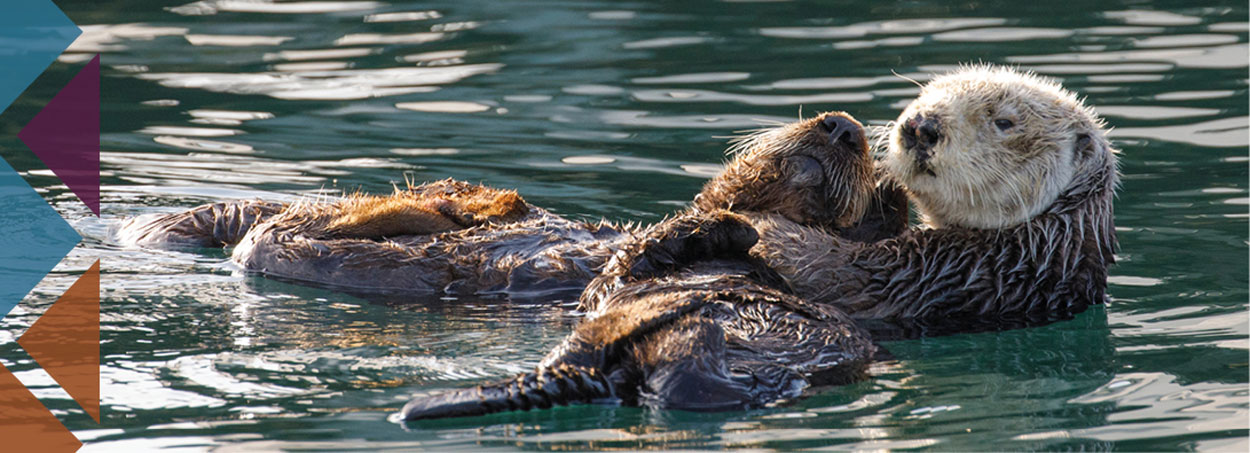 river otters