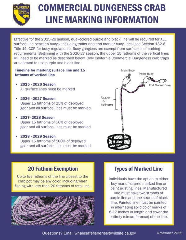 Line Marking Regulations August 2025