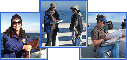 California Recreational Fisheries Survey California Recreational Fisheries Survey