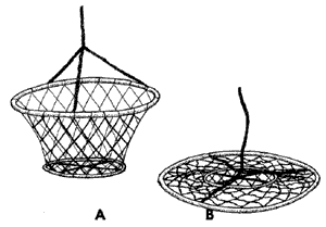 Figure 8 - crab hoop net illustration