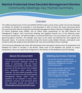 Cover image of Key Themes Summary document flyer