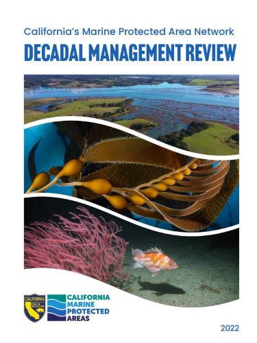 Image of MPA Decadal Management Review cover