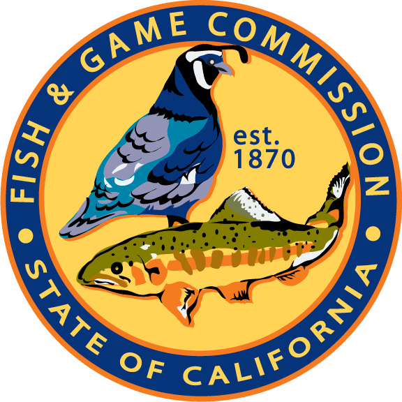 MPA Decadal Management Review