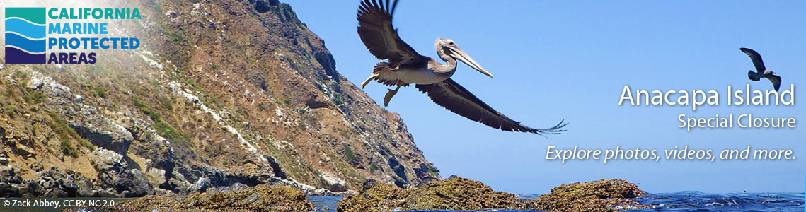 Anacapa Island SC Banner Image