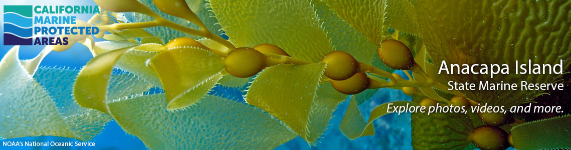 Anacapa Island SMR Banner Image